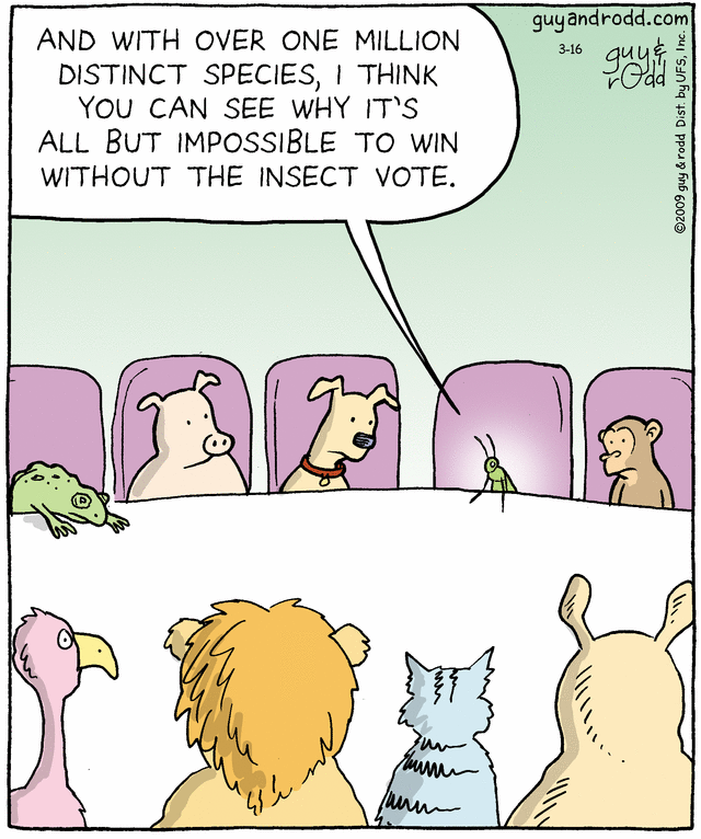 brevity